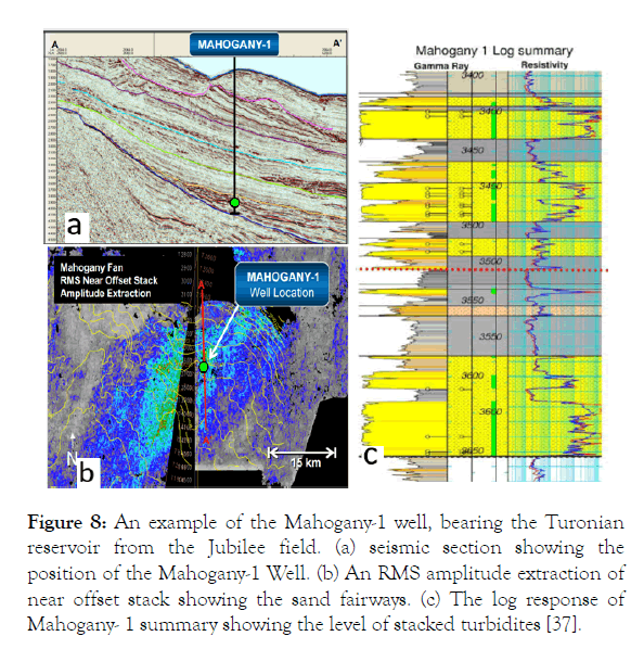 petroleum-environmental-biotechnology-seismic-section