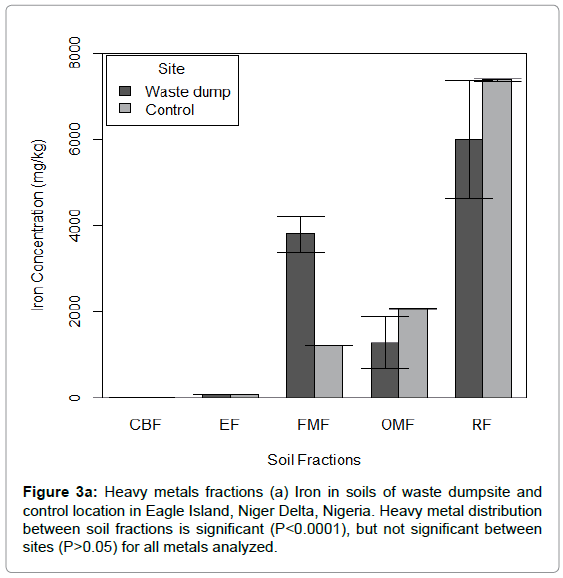 petroleum-environmental-biotechnology-waste-dumpsite