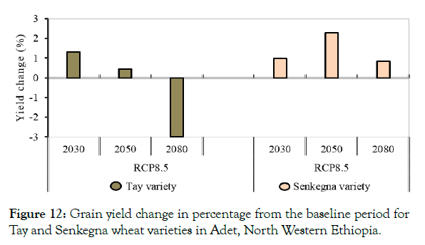 petroleum-environmental-biotechnology-wheat-varieties