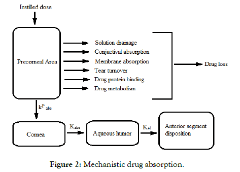 pharmaceutica-analytica-acta-drug-absorption