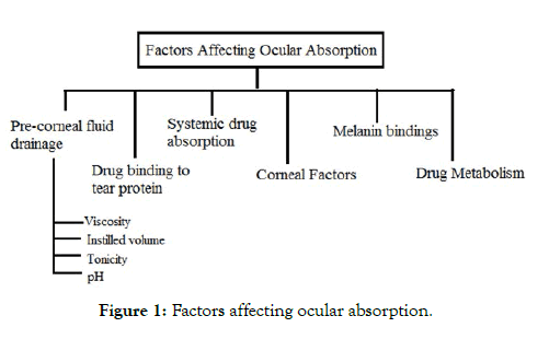 pharmaceutica-analytica-acta-ocular-absorption