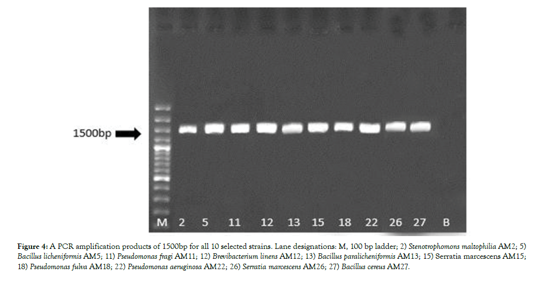 plant-pathology-Lane-designations