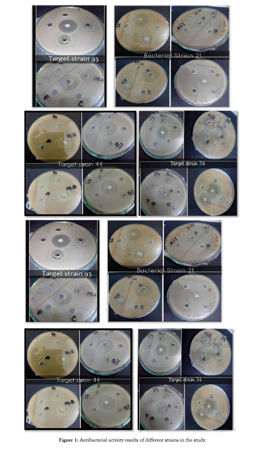 plant-pathology-antibacterial-activity