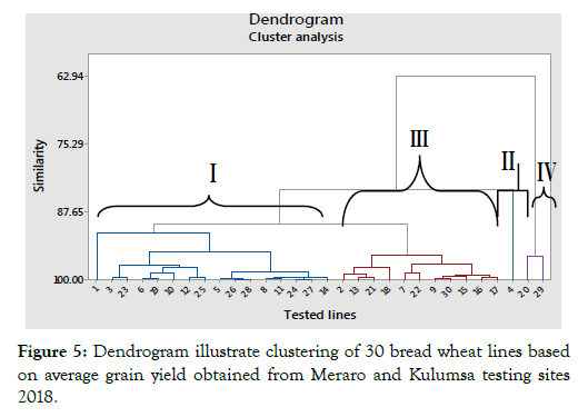 plant-pathology-grain-yield