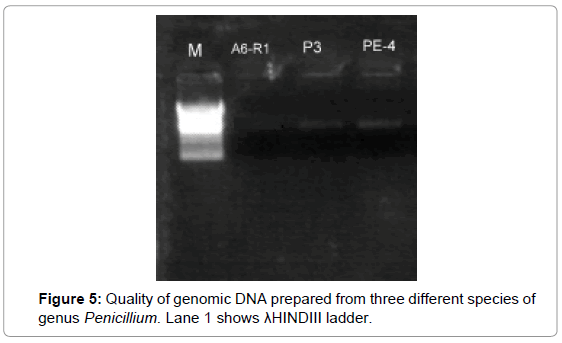 plant-pathology-microbiology-Quality-genomic