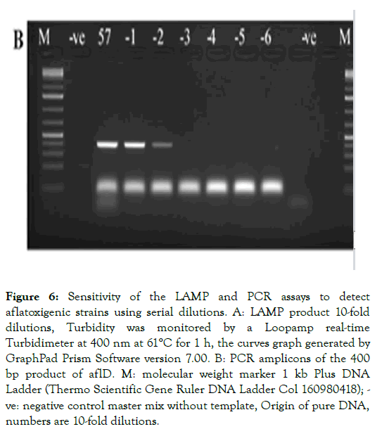 plant-pathology-microbiology-aflatoxigenic-strains