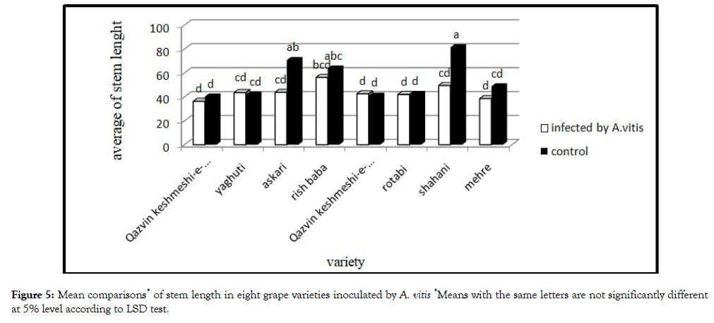 plant-pathology-microbiology-inoculated