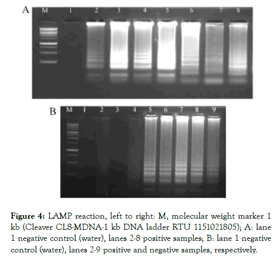 plant-pathology-microbiology-molecular-weight