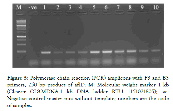 plant-pathology-microbiology-polymerase-chain-reaction