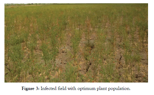 plant-pathology-microbiology-population