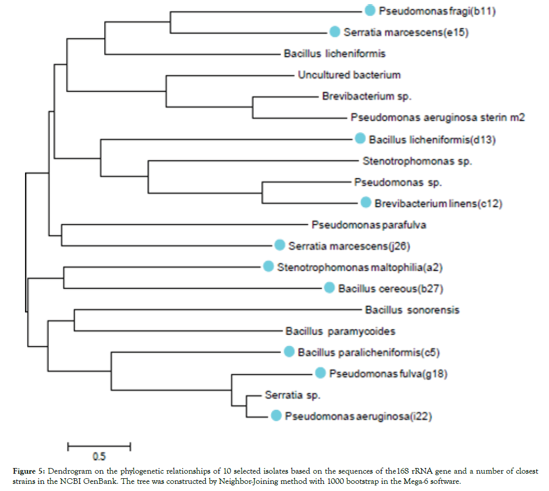 plant-pathology-phylogenetic-relationships