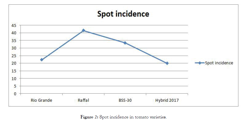 plant-pathology-spot-incidence