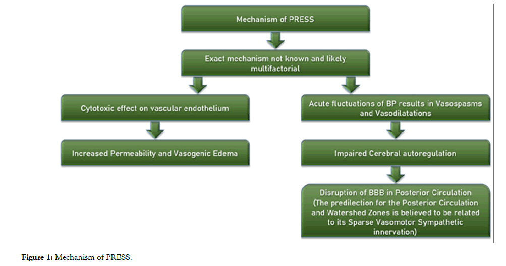 surgery-anesthesia-mechanism