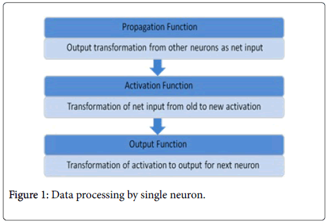 swarm-intelligence-evolutionary-computation-Data-processing