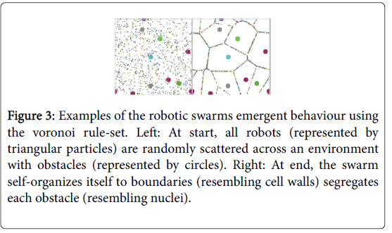 swarm-intelligence-swarms-emergent