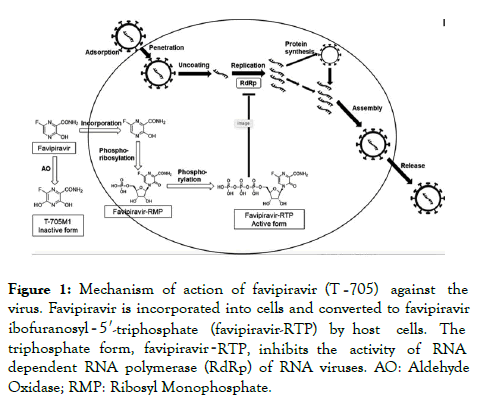 tropical-diseases-Mechanism