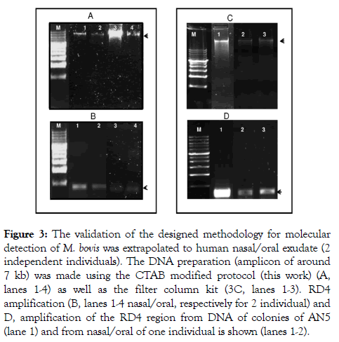 tropical-diseases-molecular-detection