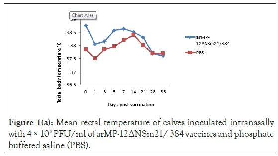 vaccines-vaccination-calves