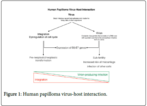 vaccines-vaccination-papilloma