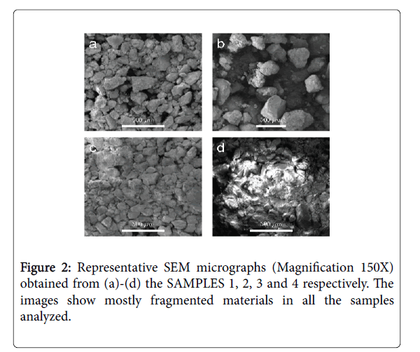 Biology-Medicine-SEM-micrographs