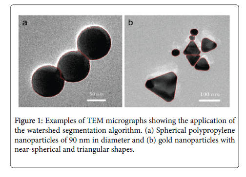 Biology-Medicine-TEM-micrographs