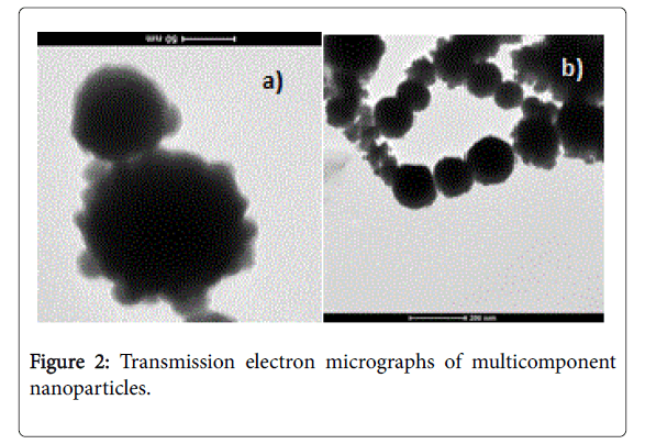 Biology-Medicine-multicomponent-nanoparticles