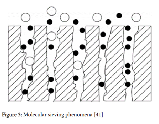 Membrane-Science-Molecular-sieving