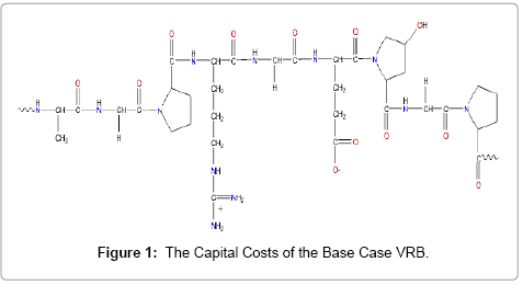 advanced-chemical-engineering-Capital-Costs