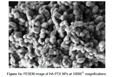 advanced-chemical-engineering-FESEM-image