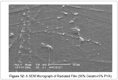 advanced-chemical-engineering-Micrograph-Radiated