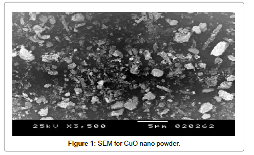 SEM-CuO-nano-powder