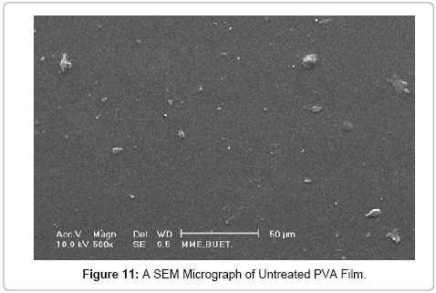 advanced-chemical-engineering-SEM-Micrograph