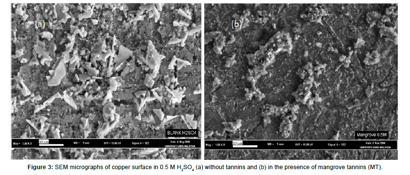 advanced-chemical-engineering-micrographs
