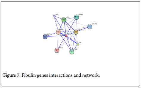 allergy-therapy-Fibulin-genes-interactions
