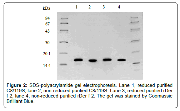 allergy-therapy-gel-electrophoresis