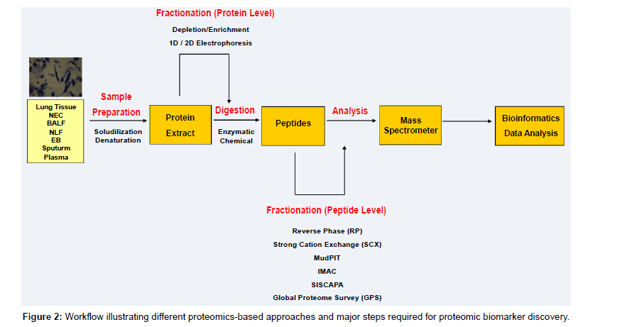 allergy-therapy-proteomic-biomarker