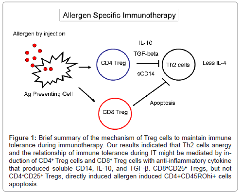 allergy-therapy-surface-cytokine