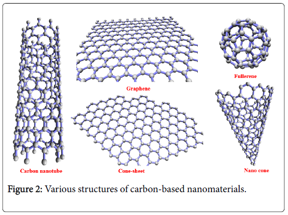 bioenergetics-carbon-based-nanomaterials