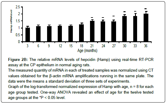 bioenergetics-relative-mRNA-levels