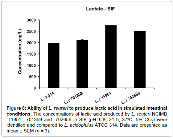 bioequivalence-bioavailability-ability-produce-lactic