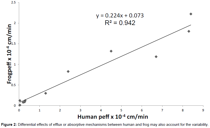 Evaluation of Frog as an Animal Model to Study the Fraction of Or
