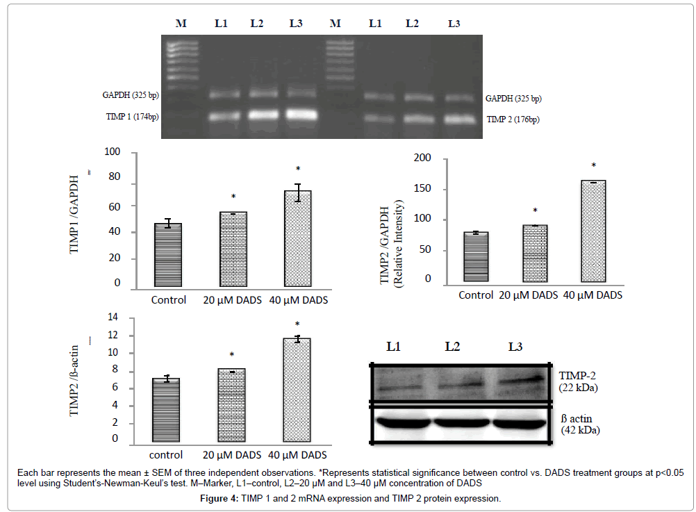 bioequivalence-bioavailability-mRNA-expression
