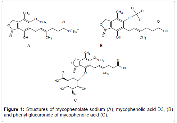 bioequivalence-bioavailability-mycophenolic-acid
