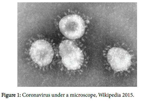 biology-and-medicine-Coronavirus-under