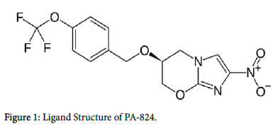 biology-and-medicine-Ligand-Structure