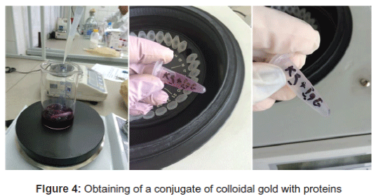 biology-and-medicine-colloidal-gold