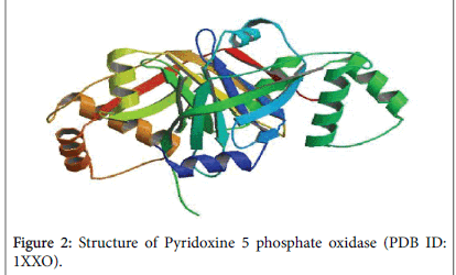 biology-and-medicine-phosphate-oxidase