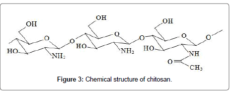 biology-and-medicine-structure-chitosan
