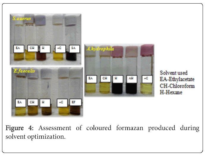 biology-medicine-assessment-coloured-formazan