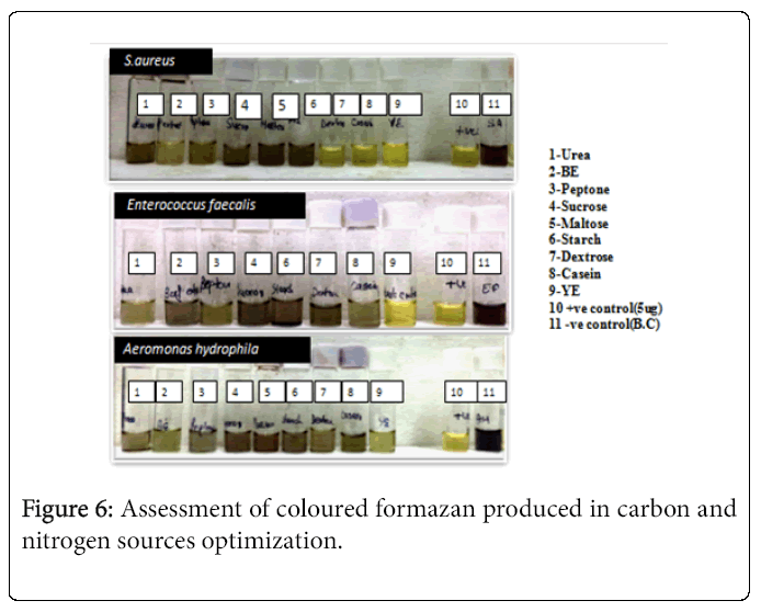 biology-medicine-assessment-coloured-formazan-carbon